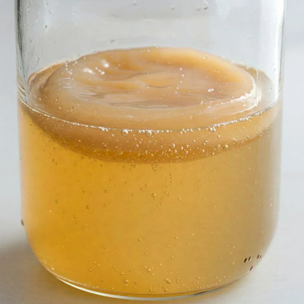 How to Brew Jun Kombucha